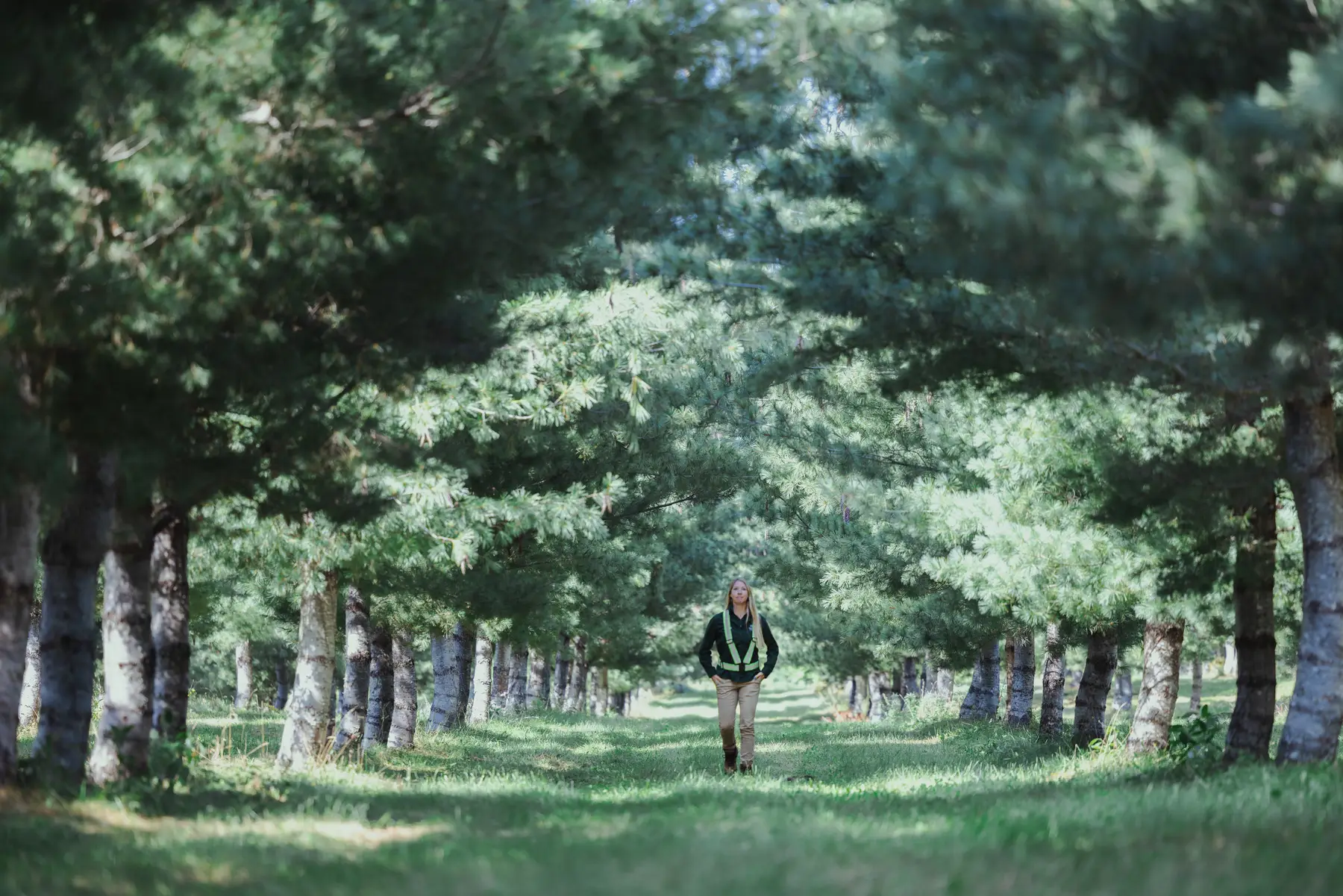 Parkindale Seed Orchard