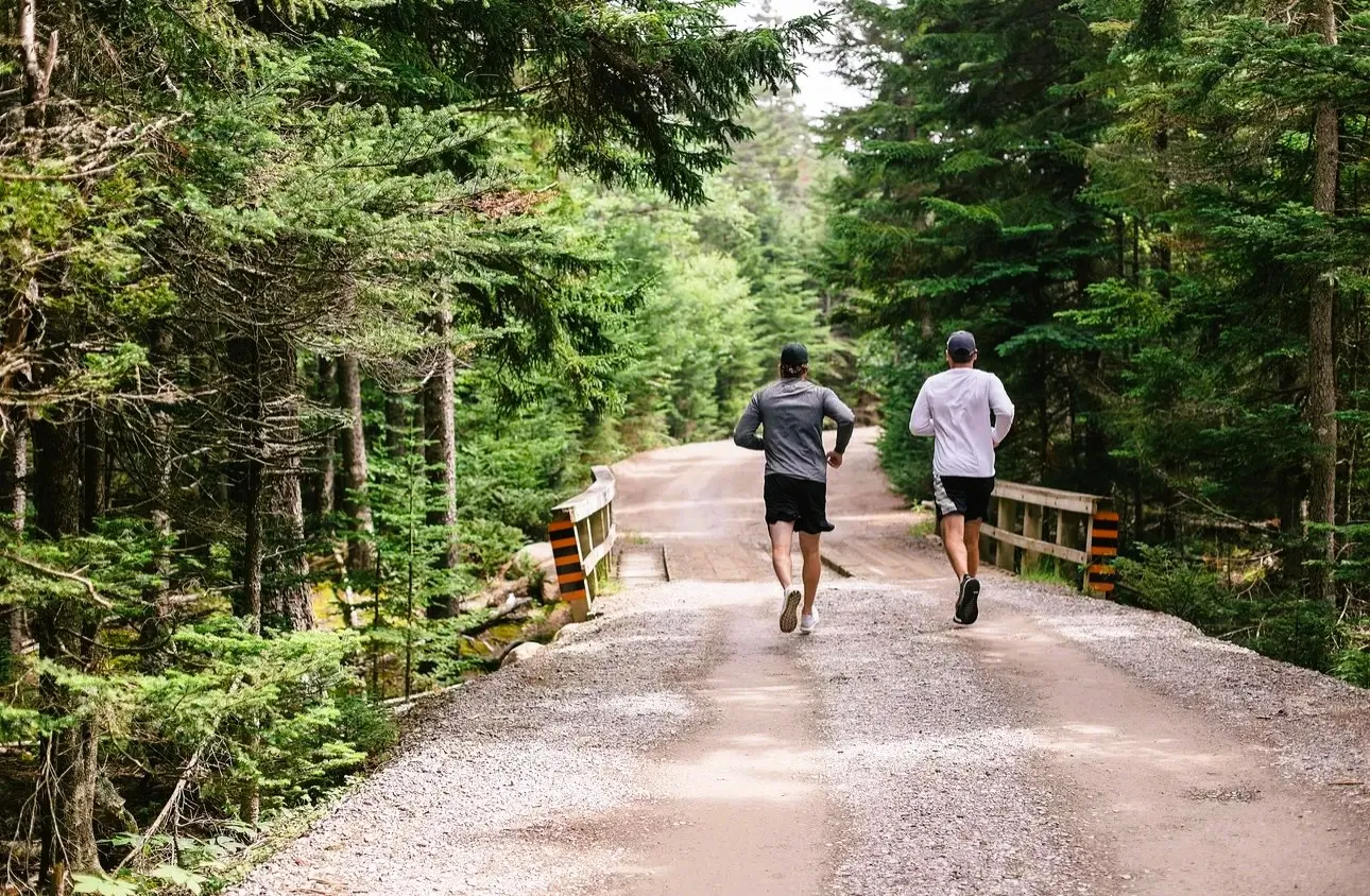 Forest Roadway Loop