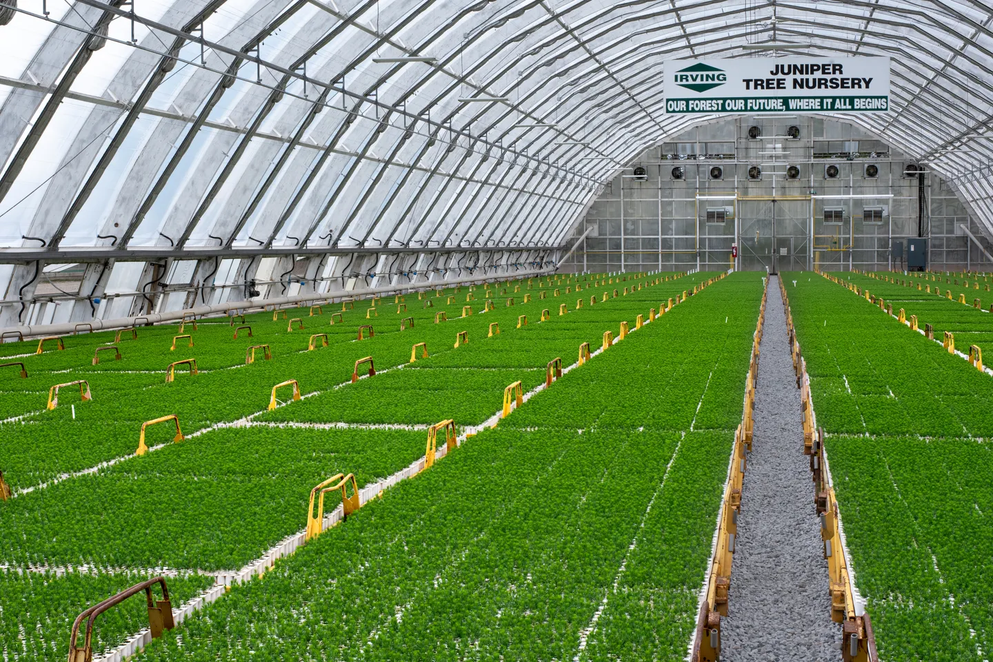 25+ million trees grown annually at our Juniper Nursery ​