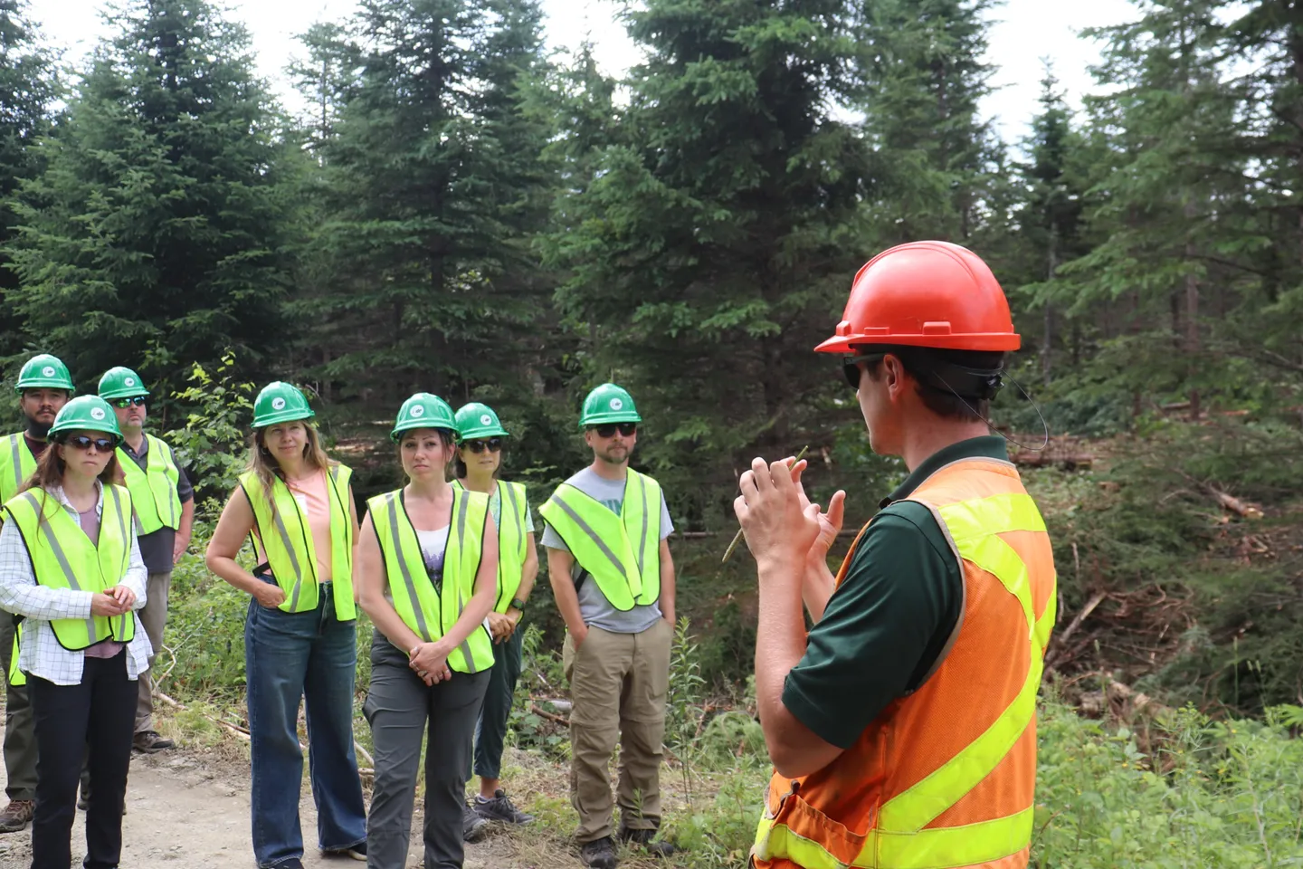 Maine Tree Foundation – Forestry Teachers Tour