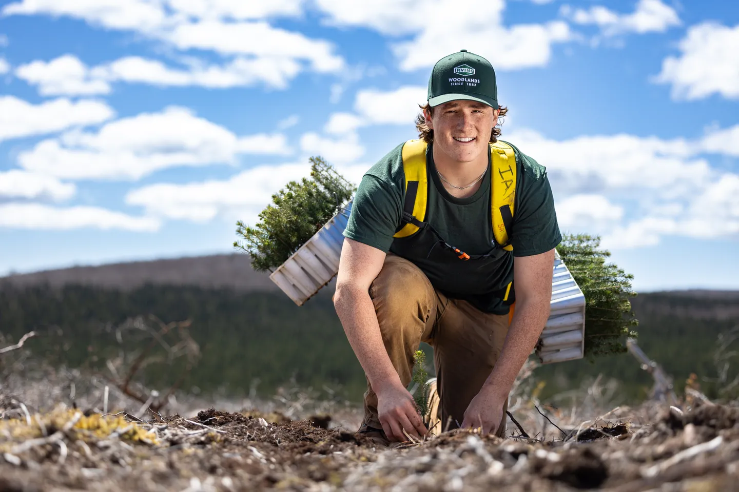 Tree Planting